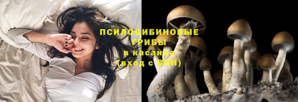 гашик Алзамай