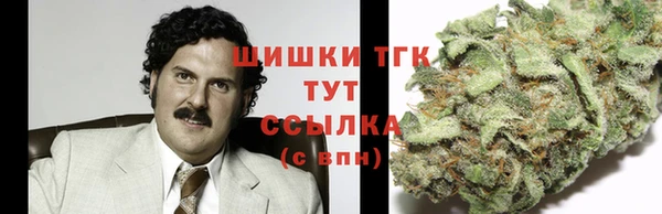 мескалин Мегион