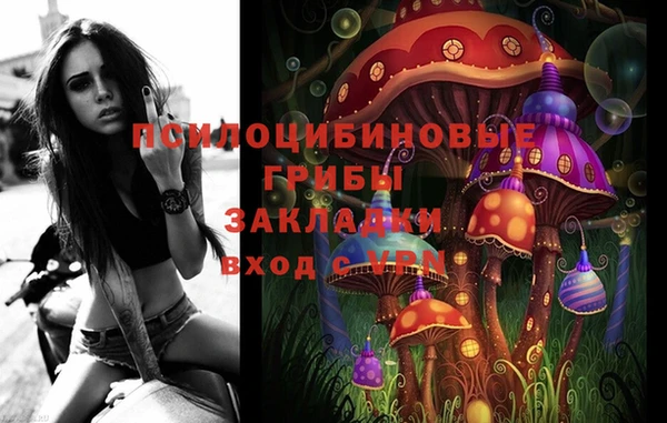 гашик Алзамай