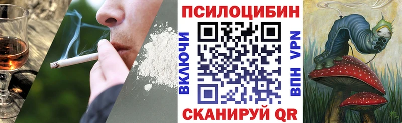 Псилоцибиновые грибы мицелий  как найти   Палласовка 